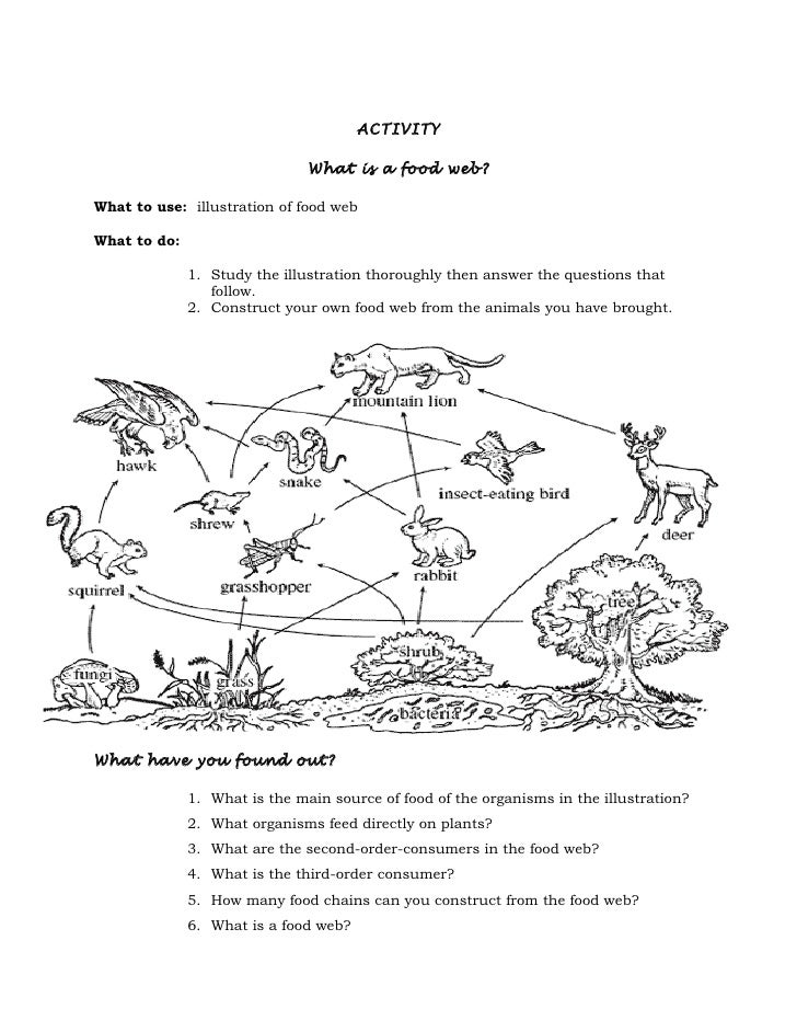 Printables Food Chains Worksheet food chains and webs worksheet abitlikethis worksheet