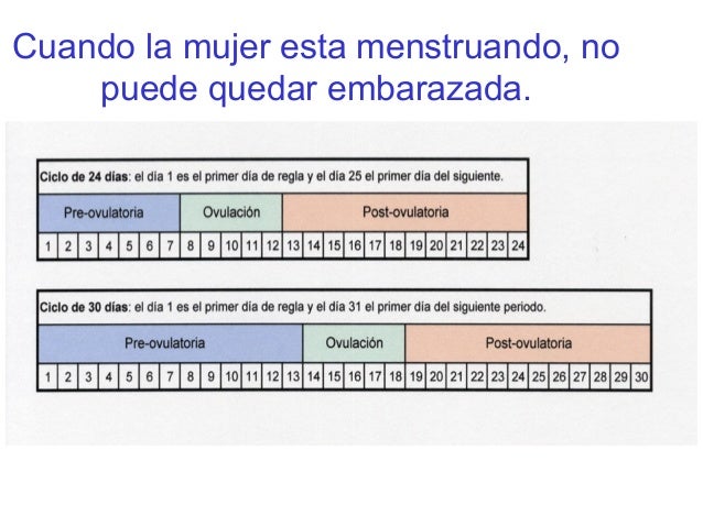 como quedar embarazada con hierbas