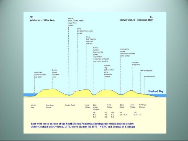 3 factors that change the climax community image