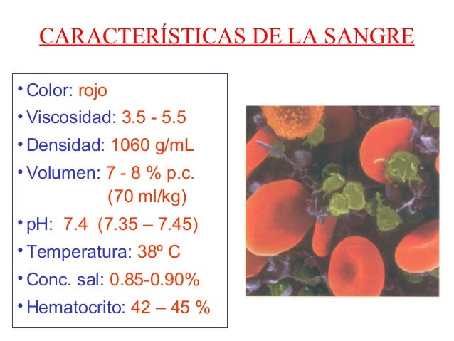 Sangre