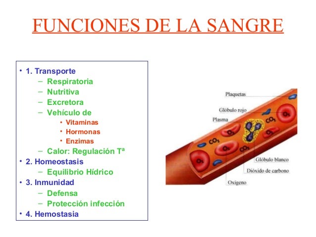 Sangre