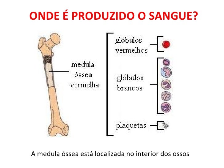 Sangue