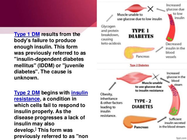 Essay on diabetes