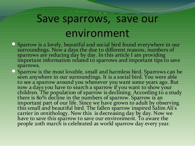 Essay save trees save environment