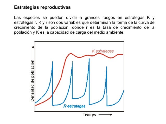 Población y Capacidad de Carga