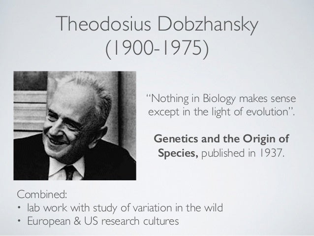 The Genetical Theory Of Natural Selection Summary The Genetical Theory Of Natural Selection Summary