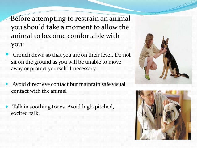 Animal Handling and Restraint