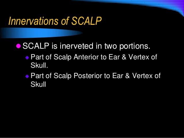 Scalp Anatomy