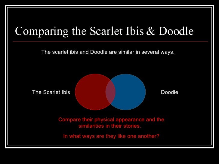 Symbolism in the scarlet ibis by kimberly e on prezi