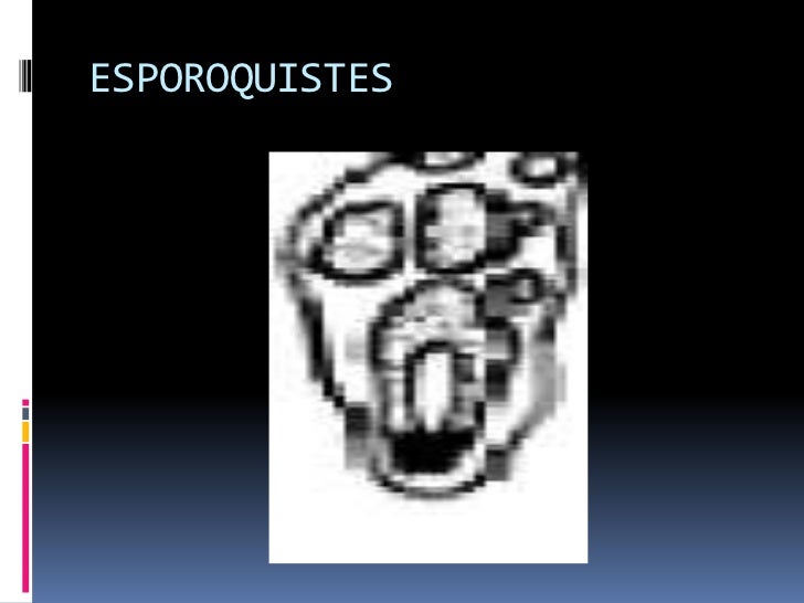 Que cura de las lombrices