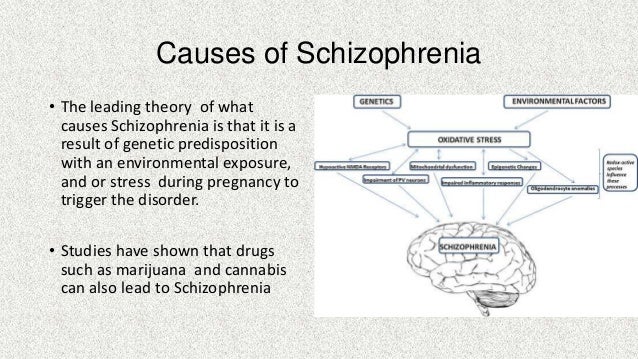 history and causes of schizophrenia Schizophrenia | schizophrenia treatment childhood schizophrenia | history of schizophrenia | schizophrenia sources causes scientists have not yet pinpointed a single cause of schizophrenia but the illness seems to be determined mostly by the chemical and physical defects of the brain which result from environment and. history and causes of schizophrenia Schizophrenia | schizophrenia treatment childhood schizophrenia | history of schizophrenia | schizophrenia sources causes scientists have not yet pinpointed a single cause of schizophrenia but the illness seems to be determined mostly by the chemical and physical defects of the brain which result from environment and.