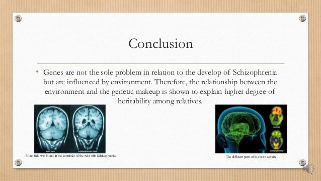 schizophrenia research paper conclusion schizophrenia research paper conclusion