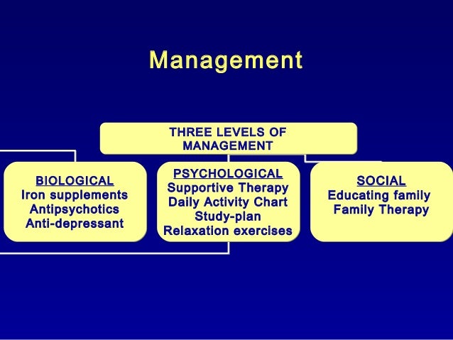 Comprehensive Case Study on Paranoid Schizophrenia