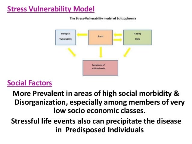 Social Disorganization Theory Essay