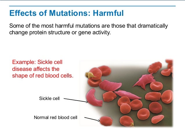 are all mutations harmful are all mutations harmful