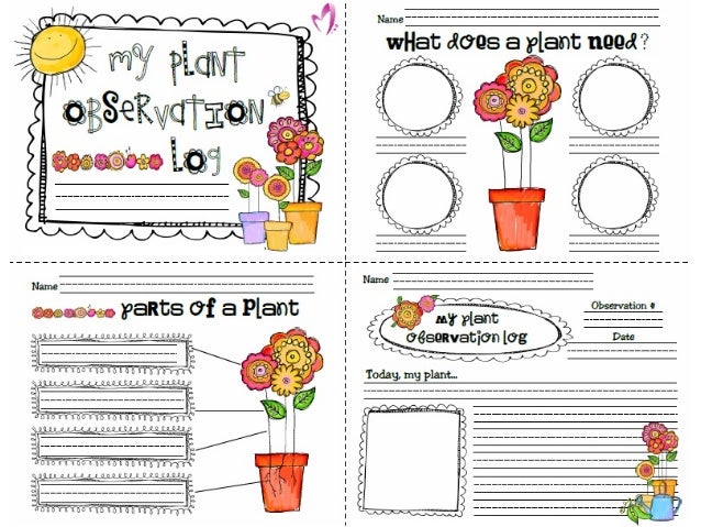 Cd Plant Growimg Activity For Kids Cd Plant Growimg Activity For Kids