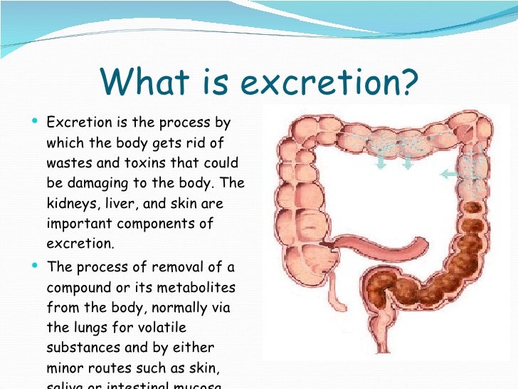 Science water i excretory system