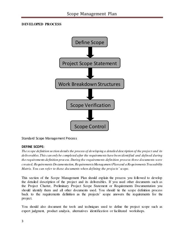 Term paper on management process