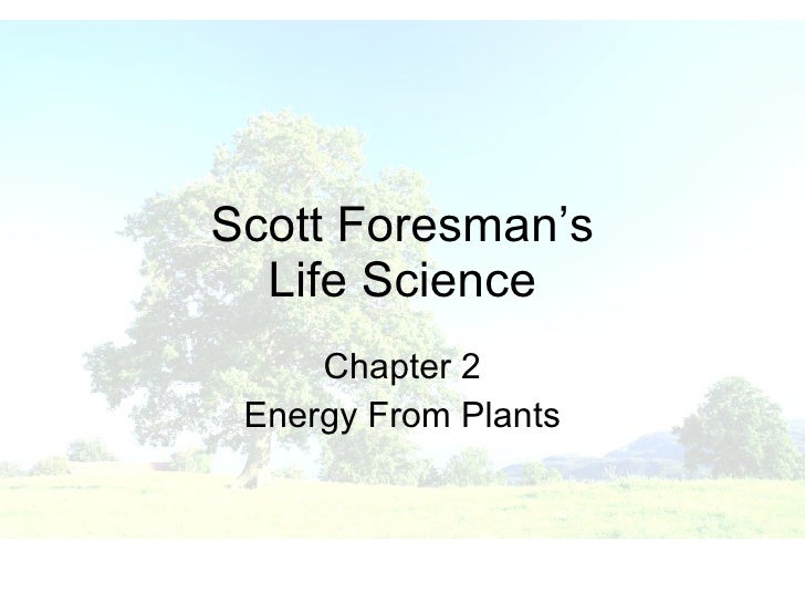 Scott Foresman Science: Grade 3 Activity Book Scott Foresman Science: Grade 3 Activity Book