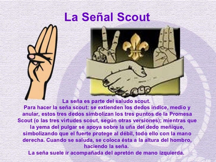 El Movimiento Scout