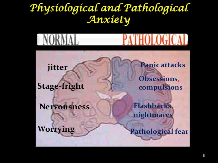 Screening of anti anxiety drugs