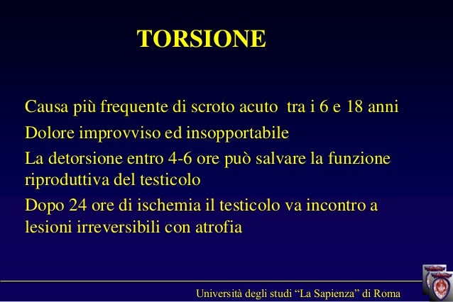 Drudi F.M. Testicolo e Pene. ASMaD 2016