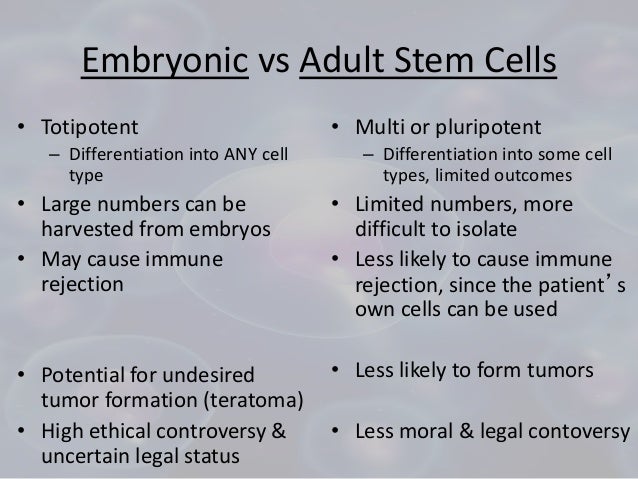 Embryonic Vs Adult Stem Cells 37