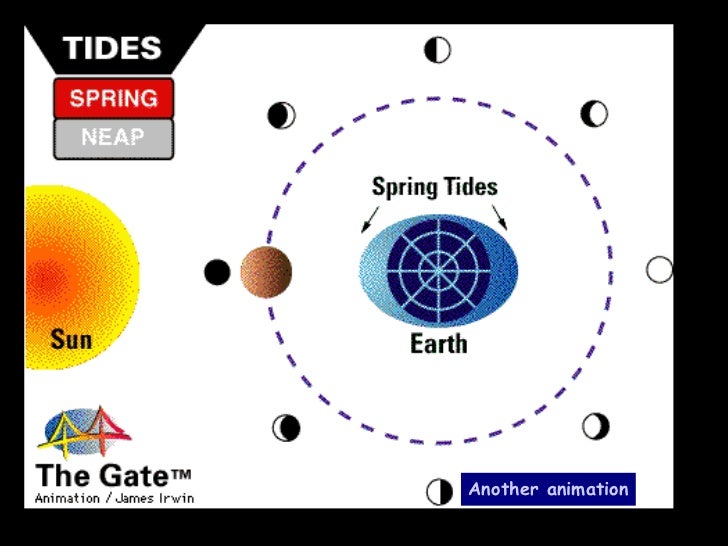 Seasons phases eclipses and tides