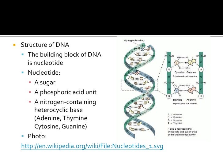 hydrogen bonding examples