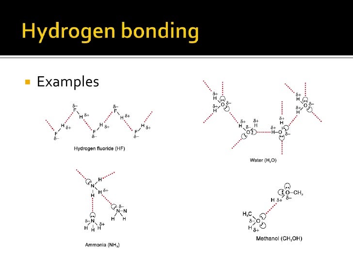 exle of hydrogen bond hydrogen bonding powerpoint exle of hydrogen bond hydrogen bonding powerpoint