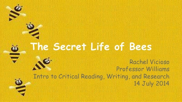 the secret life of bees essay questions the secret life of bees essay questions