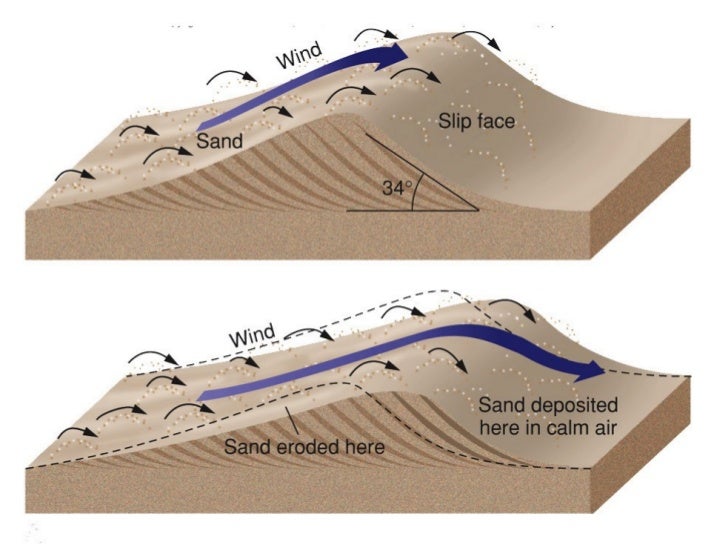 Sedimentary rocks and structures