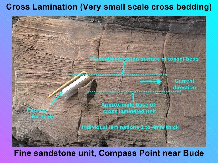 Sedimentary structures smallas