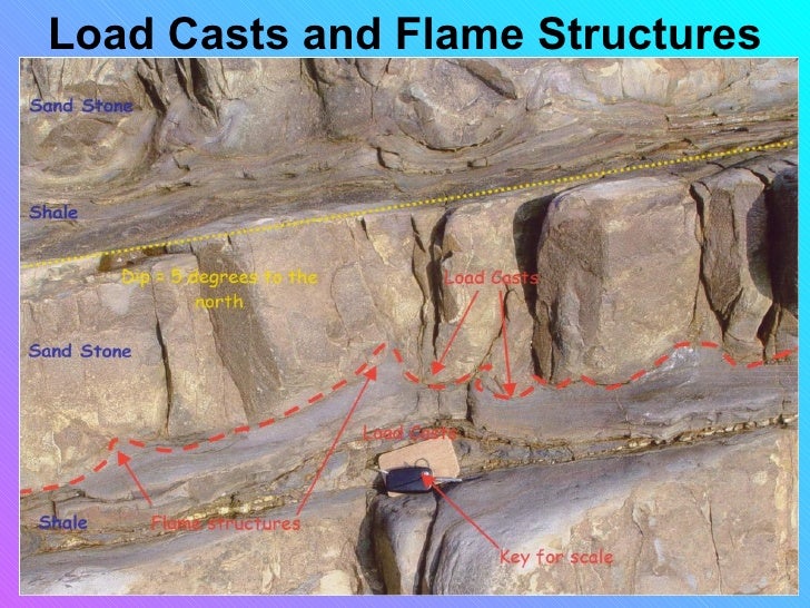 Sedimentary structures smallas