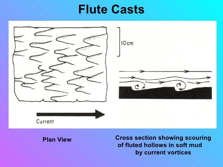 Sedimentary structures smallas
