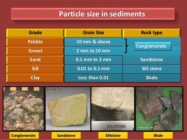 Sedimentary Rocks