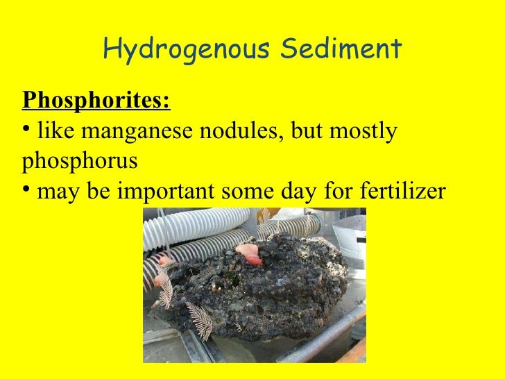 Sediments in the ocean powerpoint