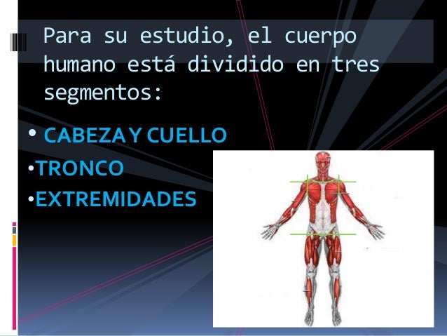 El desplazamiento de la vértebra cervical los síntomas el tratamiento por los medios públicos