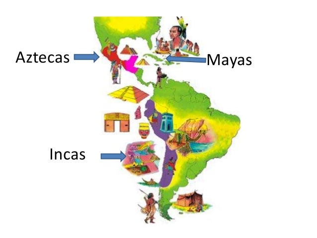 Segunda y tercera semana