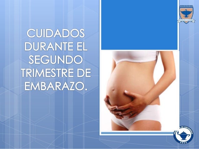 alimentaci n para embarazadas primer trimestre segundo trimestre de embarazo alimentaci n para embarazadas primer trimestre segundo trimestre de embarazo