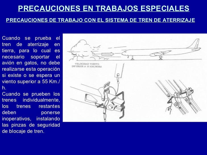 Que soe a los parásitos
