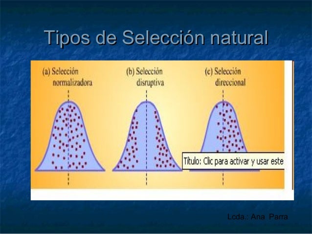 Tipos De Seleccion Natural Mecanismos Y Barreras es.slideshare.net