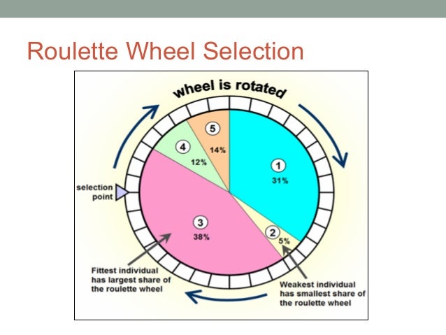 Roulette wheel selection code in c