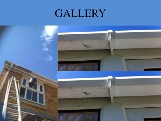 GALLERY; 5. Window Cleaners Bedford Window Cleaners Bedford GALLERY; 5.