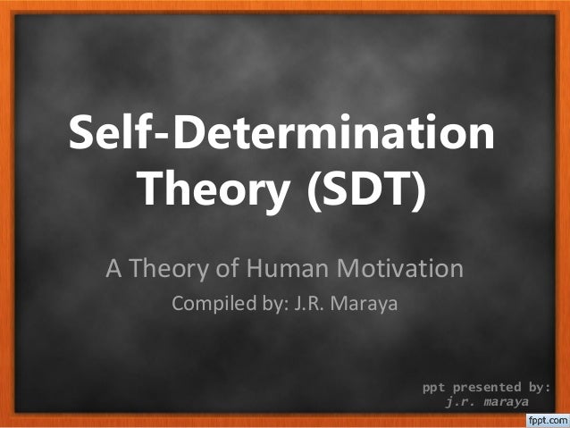 Self Determination Theory Physical Activity