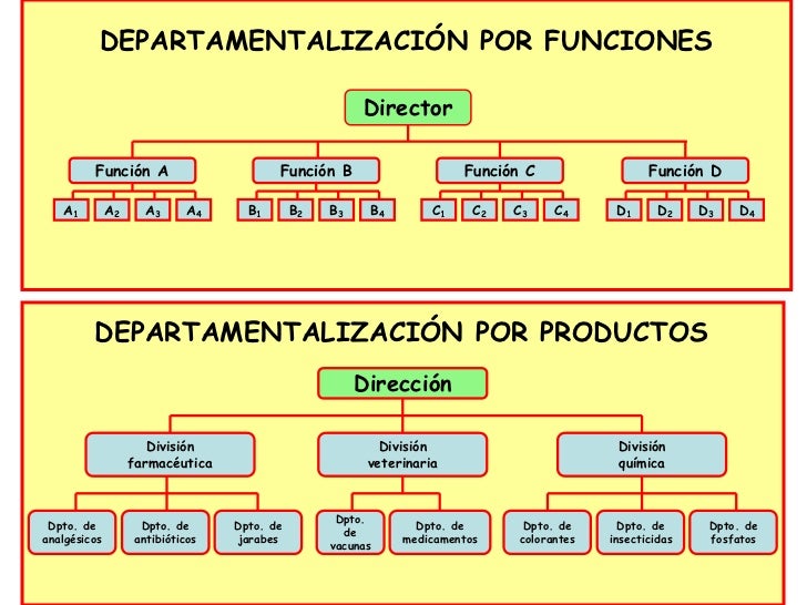 Semana elementos en el proceso de organización formal Semana elementos en el proceso de organización formal