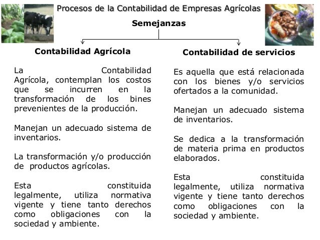 Semejanzas y diferencias empresas agricolas y servicios