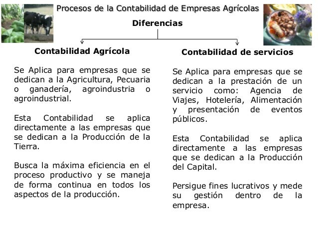 Semejanzas y diferencias empresas agricolas y servicios