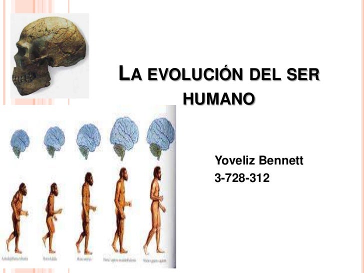 EVOLUCION DEL SER HUMANO evolucion del ser humano: