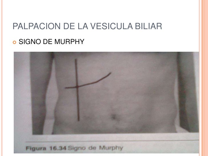 Semilogia del abdomen